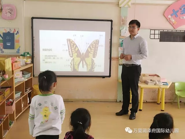 【家长进课堂】万婴润泽府16班辰辰爸爸:奇妙的昆虫世界