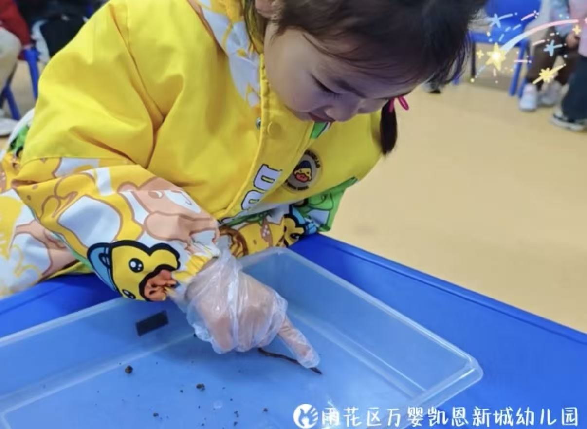 长沙雨花区万婴凯恩新城幼儿园 中班 探秘“地下小园丁”
