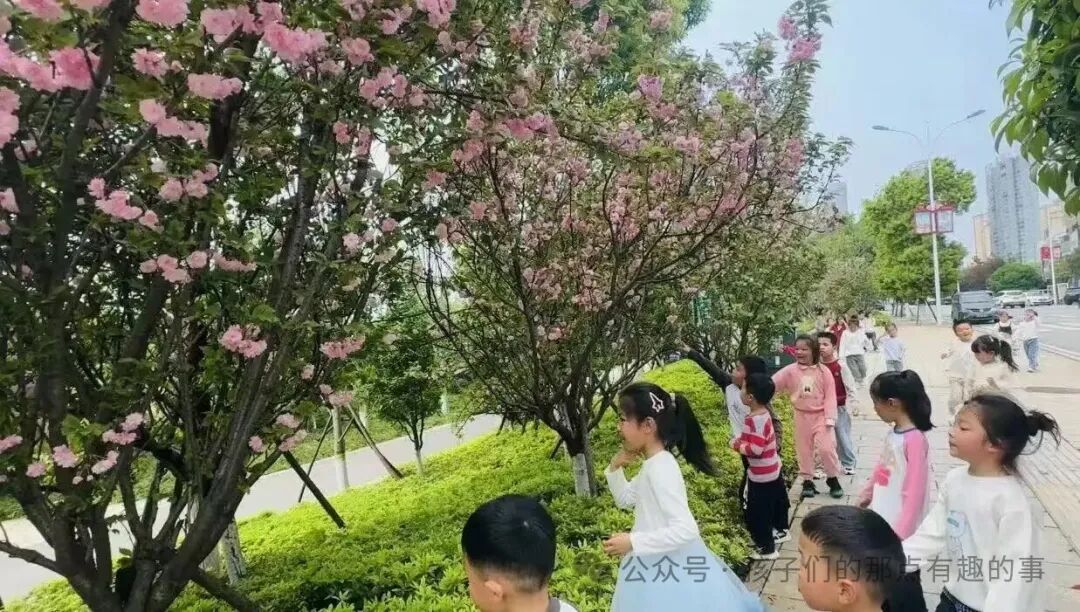 湘阴城东幼儿园怎么样?春日主题课程带你读懂自然启蒙教育