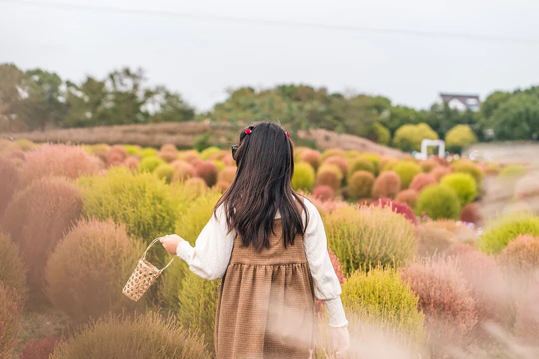 第140期 【预防性侵,守护未来】万婴麓山润城幼儿园之防性侵致家长的一封